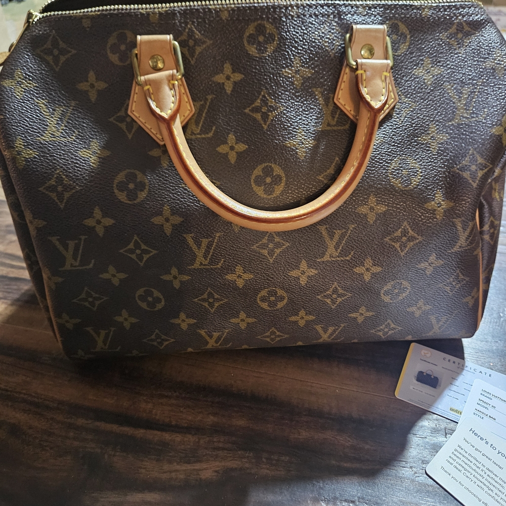 Louis Vuitton Monogram Canvas Handbag in Brown and Tan
